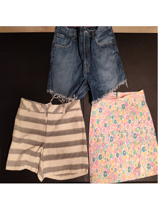 Pants - Lot of Three women's size 10 shorts/skirt